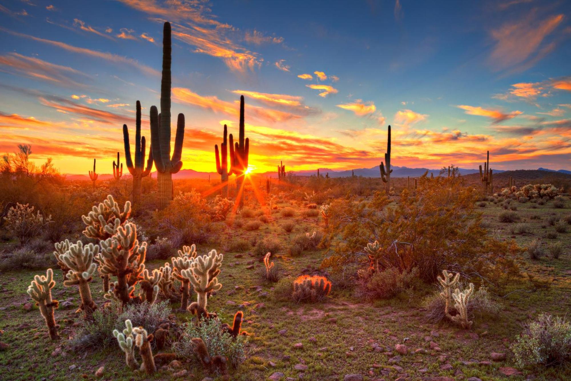 Clubgate Villa & Kierland Escape Scottsdale Rum bild